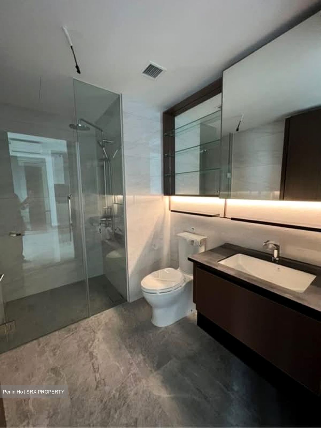 Normanton Park (D5), Apartment #576149321